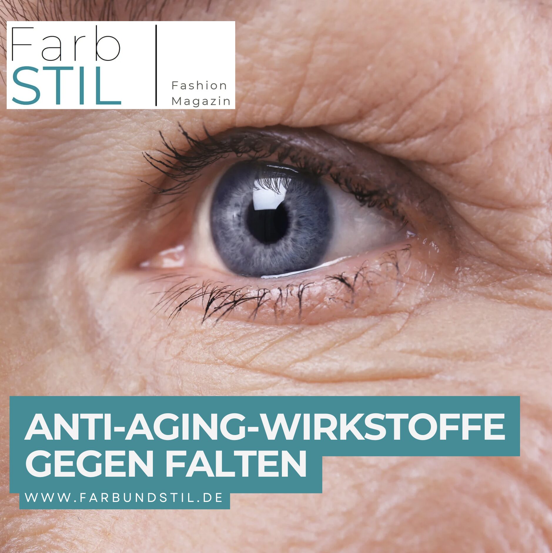 Anti-Aging-Wirkstoffe gegen Falten Anti-Aging-Wirkstoffe gegen Falten