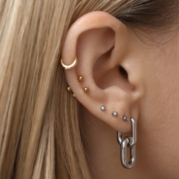 Wildfleisch am Piercing