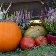 modern herbstdeko für draußen