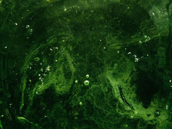 welche farbe passt zu grün